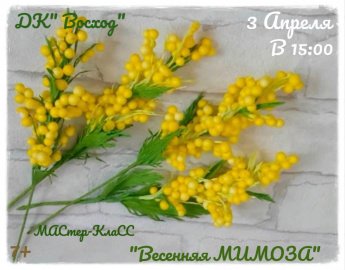 Весенняя мимоза
