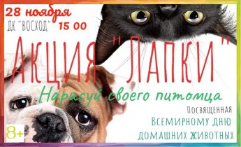 Акция "Лапки", посвященная Всемирному дню домашних животных