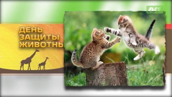 Фотоконкурс