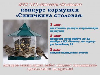 Конкурс кормушек "Синичкина столовая"